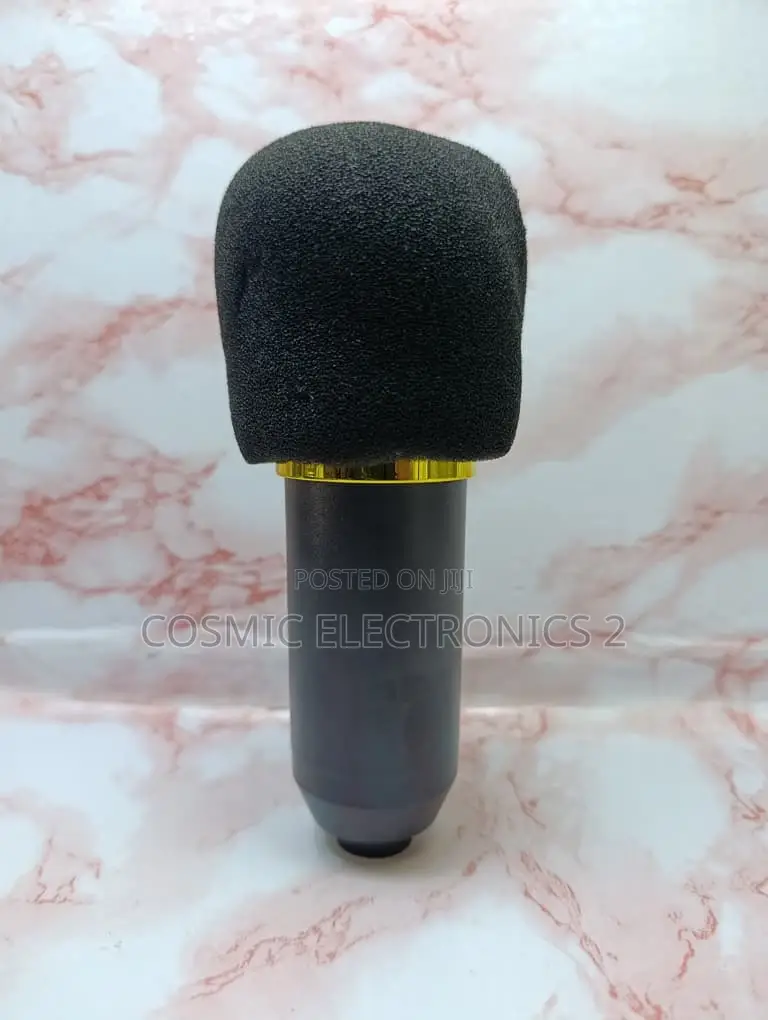 Studio Recording Condenser Microphone With Professional Audio Quality