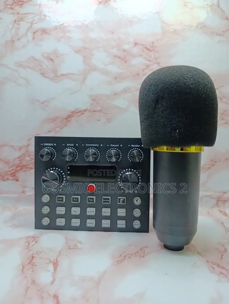 Studio Recording Condenser Microphone With Professional Audio Quality