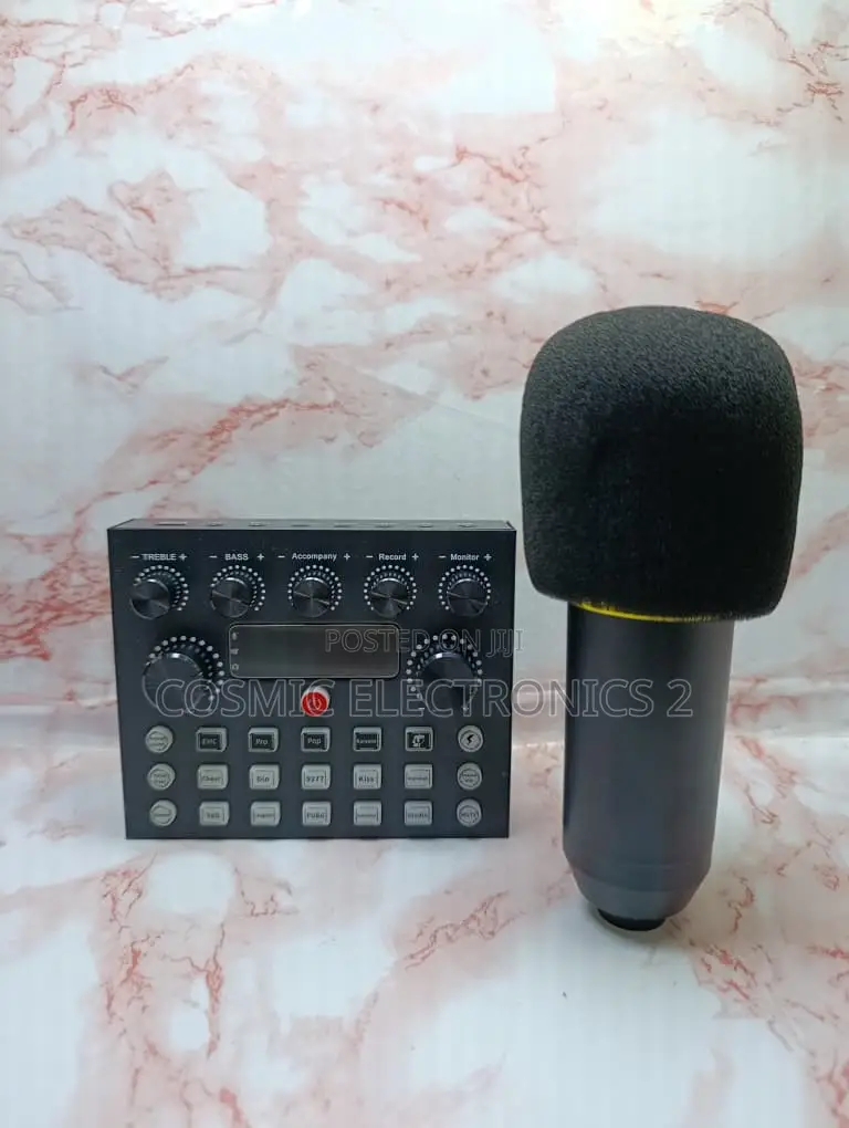 Studio Recording Condenser Microphone With Professional Audio Quality