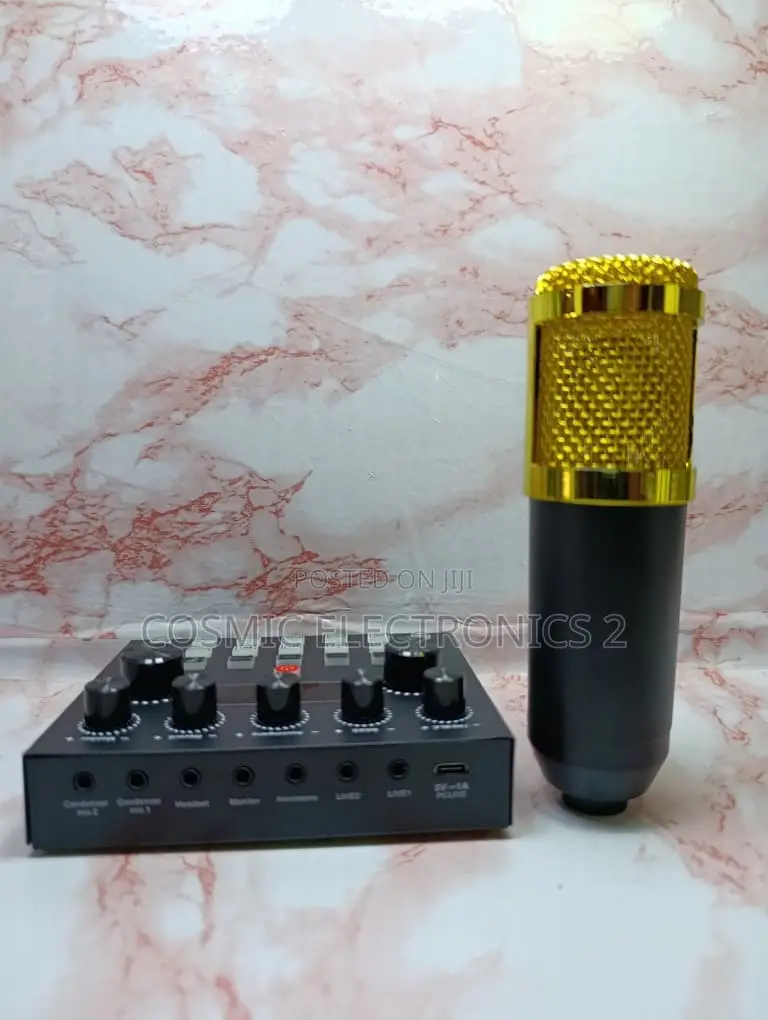 Studio Recording Condenser Microphone With Professional Audio Quality