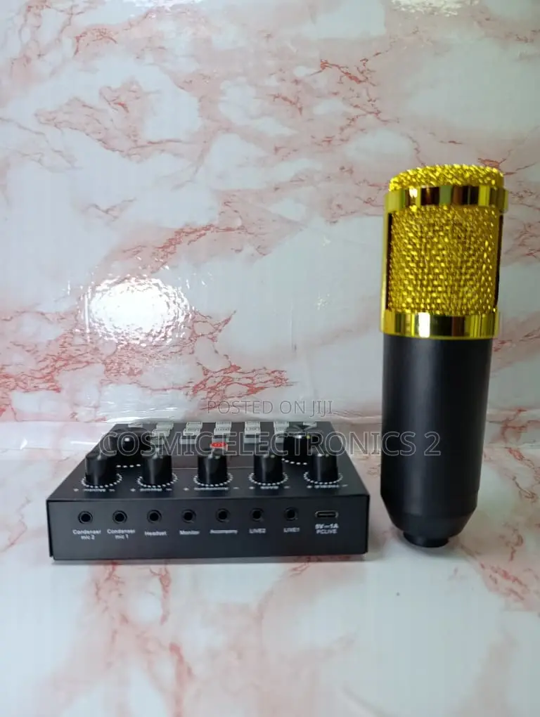 Studio Recording Condenser Microphone With Professional Audio Quality