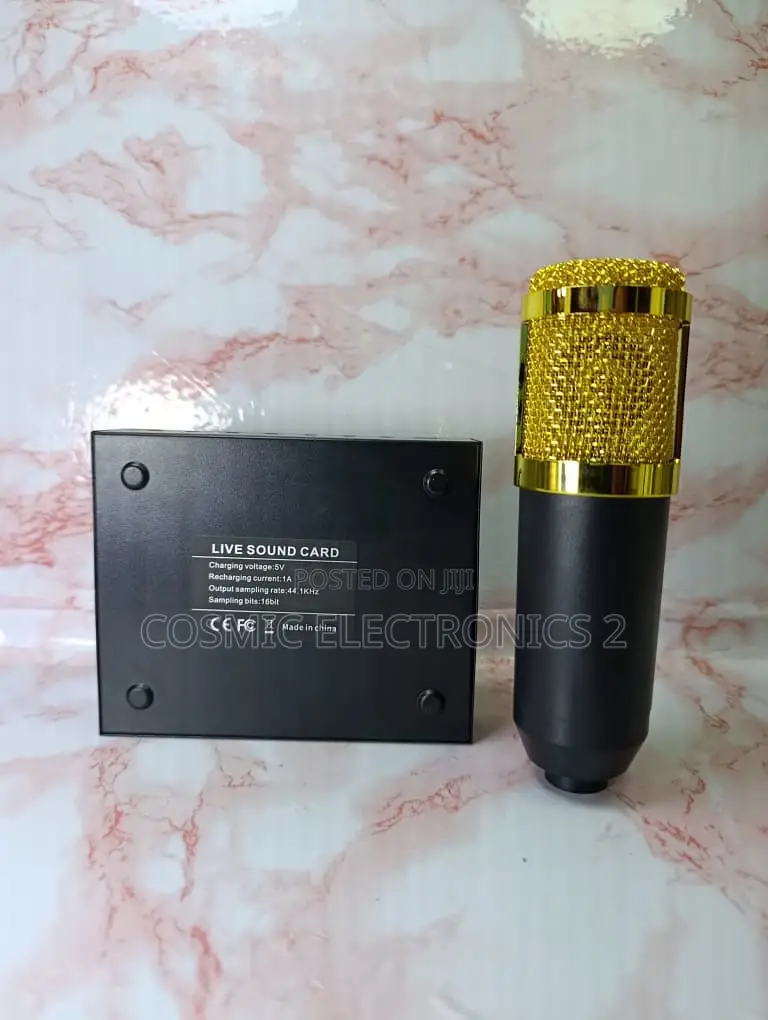 Studio Recording Condenser Microphone With Professional Audio Quality