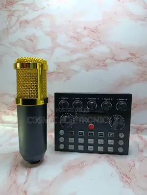 Studio Recording Condenser Microphone With Professional Audio Quality