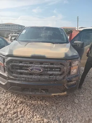 F150 21 Model Windscreen