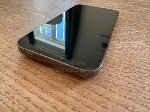 Apple iPhone 13 Pro Max 128 GB Gray