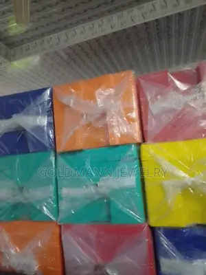 Quality Plastic ChopBox for Student (WHOLESALE ONLY)