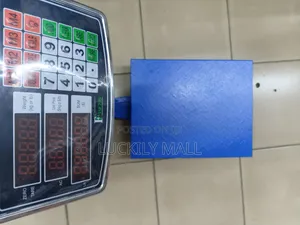 Platform Scale 300KG