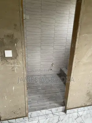 Professional Tiling Master
