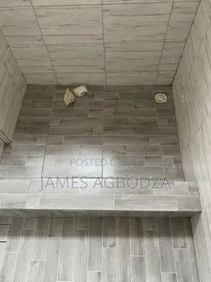 Professional Tiling Master