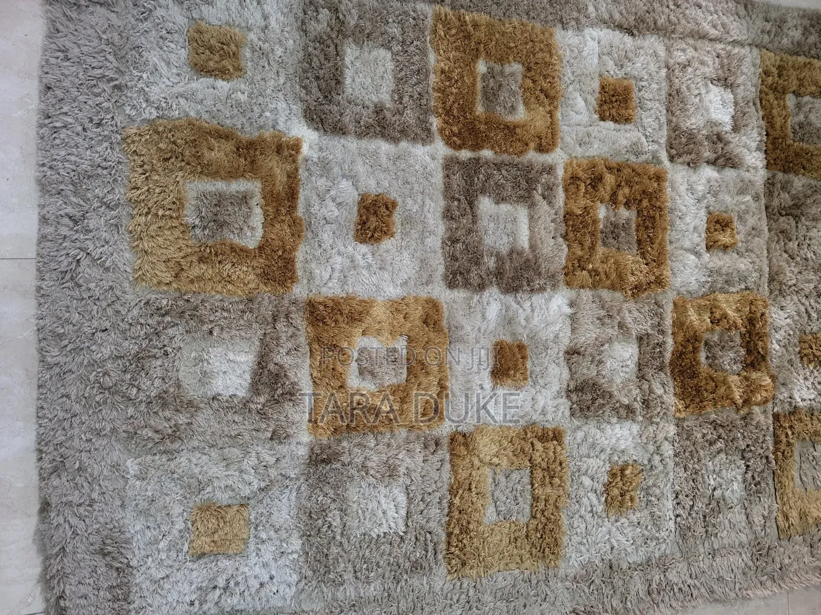 Modern Rug/ Accent Piece I in Living Room