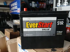 Everstart American Car Battery