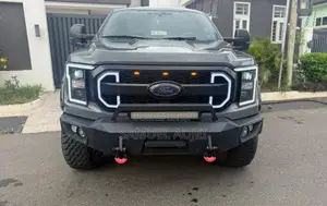 Ford F-150 2021 Gray
