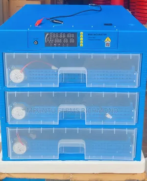 Incubator (210egg Capacity Automatic Incubator)