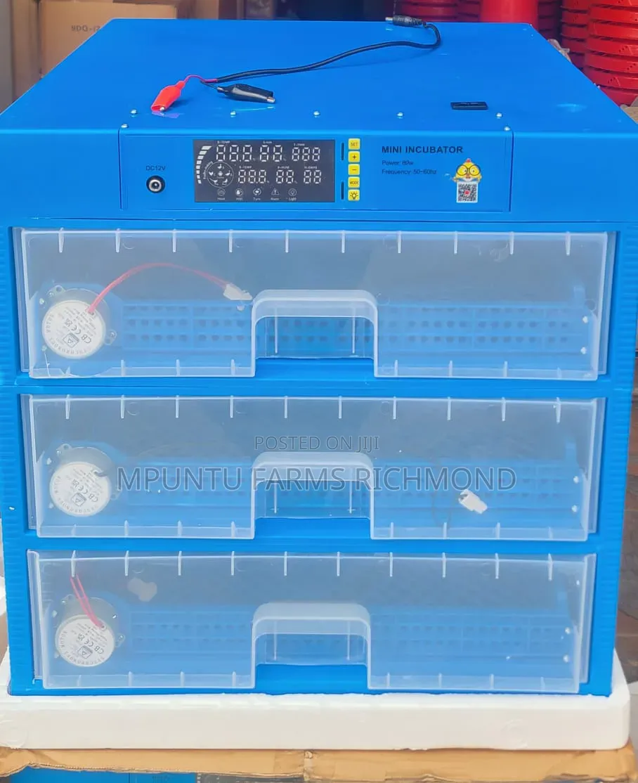 Incubator (210egg Capacity Automatic Incubator)