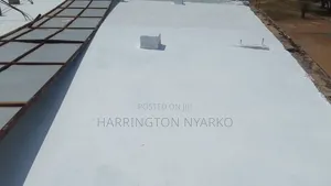 Roof Leakage Repairs Roof Repainting