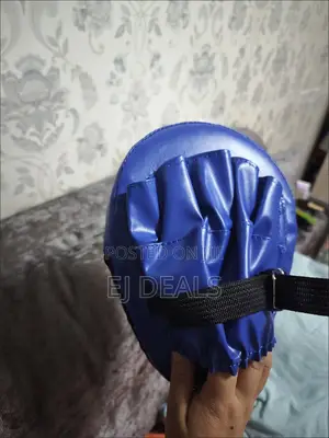 Punching Pad Pair
