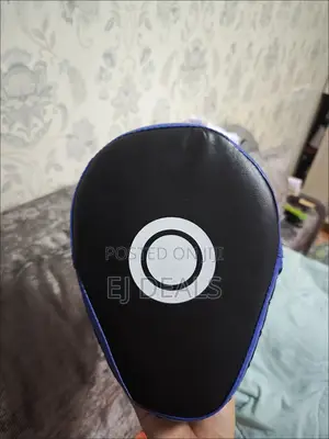 Punching Pad Pair