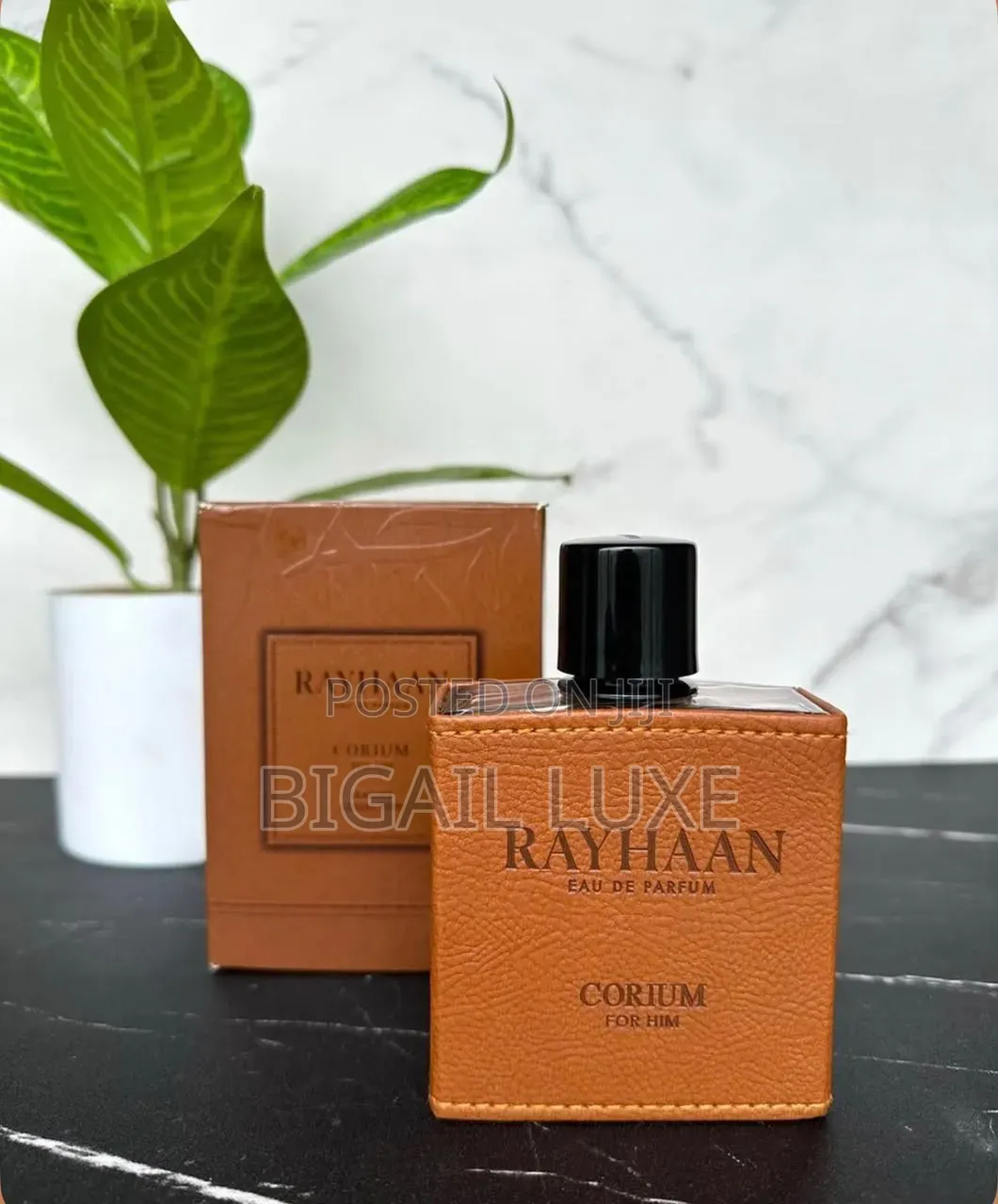 Rayhaan - Corium and Aquatica Fragrance