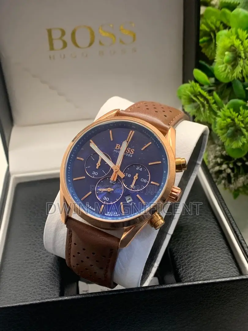 Hugo Boss Men's Champion Chronograph Watch (Model )