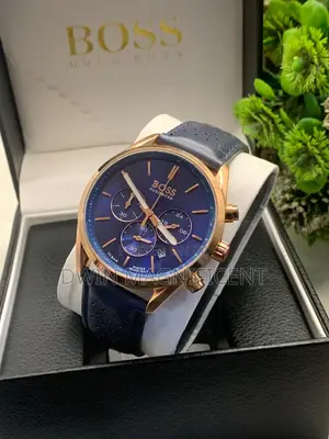 Hugo Boss Men's Champion Chronograph Watch (Model )