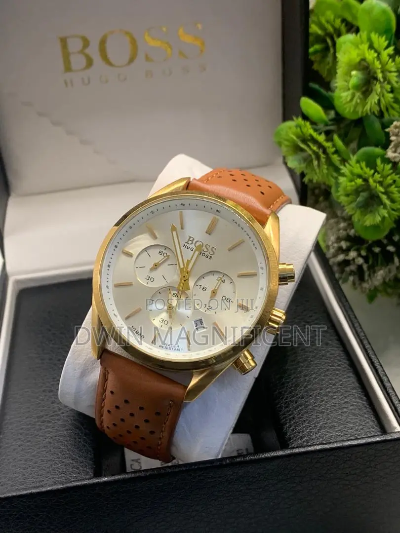 Hugo Boss Men's Champion Chronograph Watch (Model )