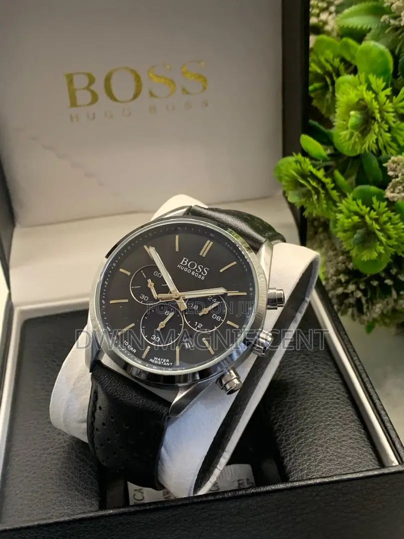 Hugo Boss Men's Champion Chronograph Watch (Model )