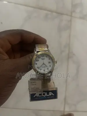Vintage Acqua by Timex Indiglo Quartz Watch