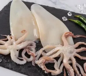 Fresh Frozen Octopus