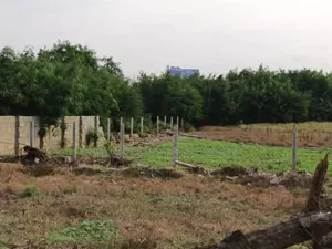 30 Acres of Land Available on the Accra to Tema Motorway Highway