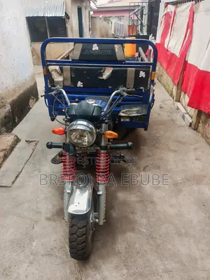 Apsonic AP150ZH-200 2024 Blue
