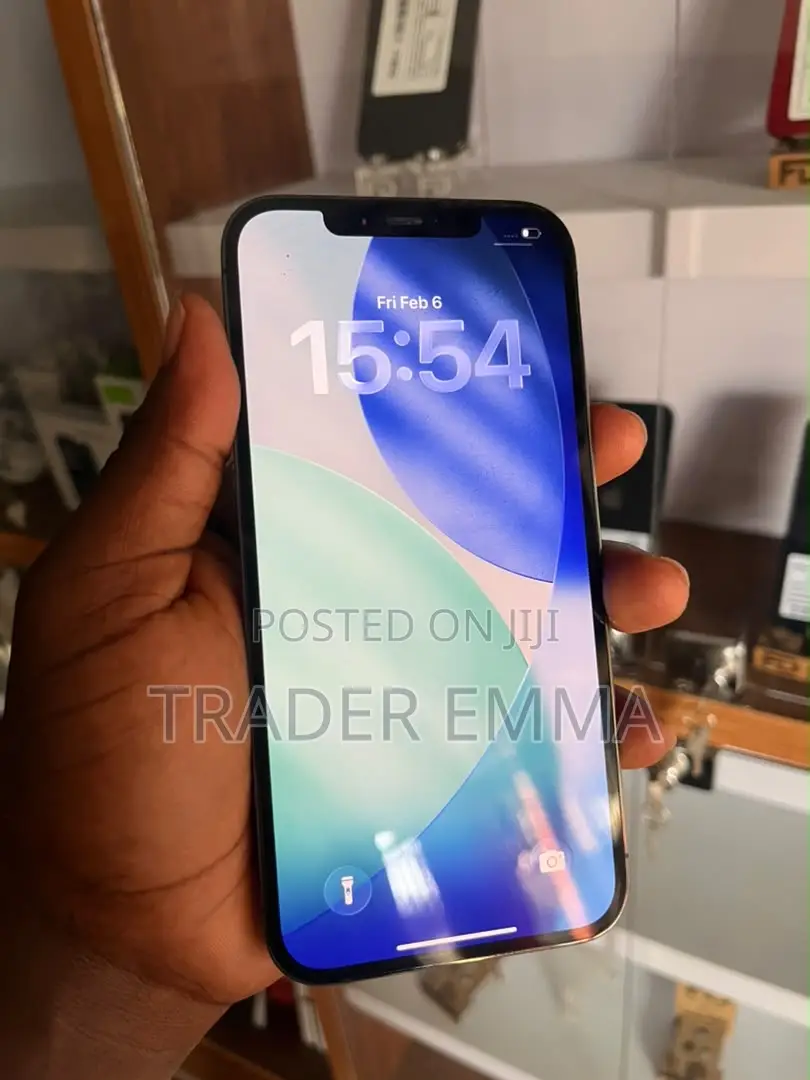 Apple iPhone 12 Pro Max 128 GB Gray