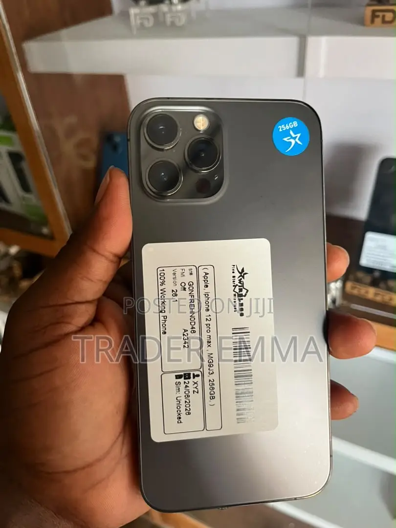 Apple iPhone 12 Pro Max 128 GB Gray