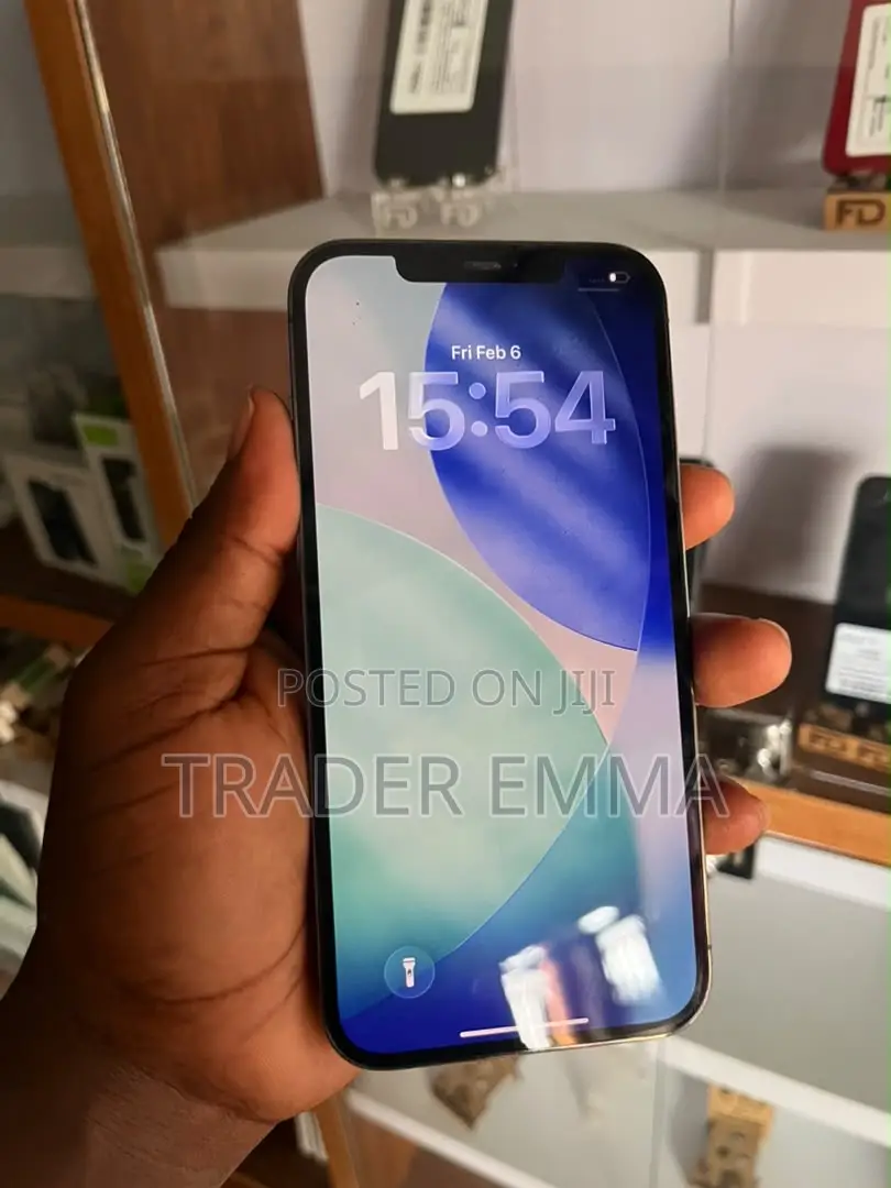 Apple iPhone 12 Pro Max 128 GB Gray