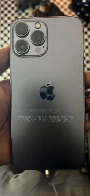 Apple iPhone 13 Pro Max 128 GB Gray