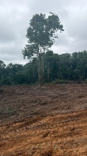 Registered Plots at Aburi for Sale