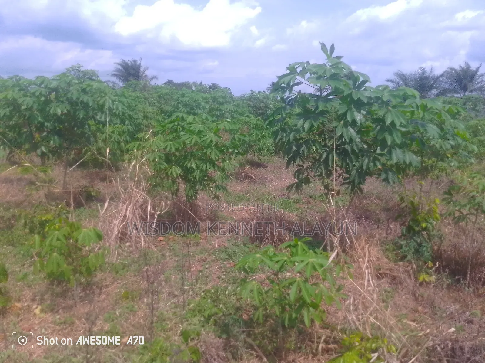 40 Plots of Land for Sale