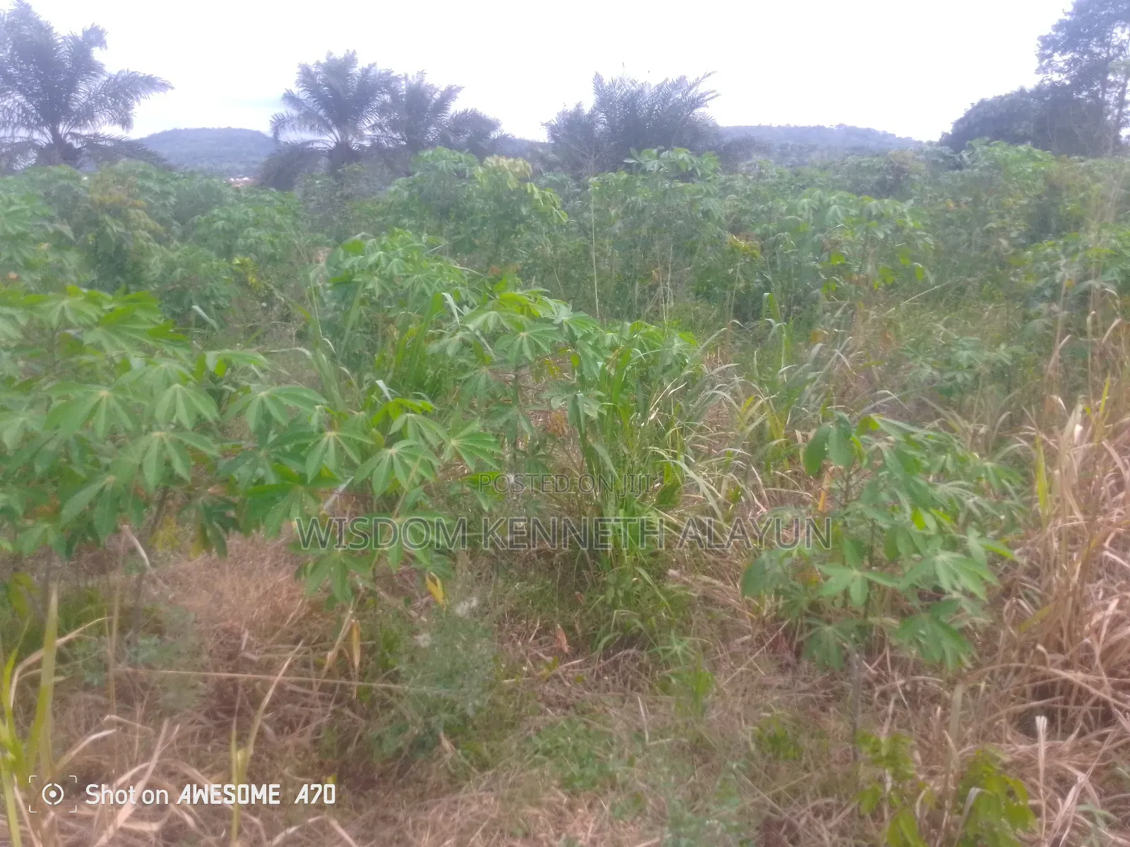 40 Plots of Land for Sale