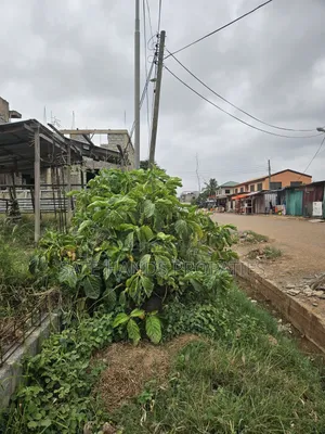 Half Plot for Sale
