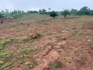 Own Land in a Fast-Growing Location