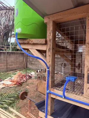 15 Rooms Modern Wooden Rabbit and Grasscutter Cage