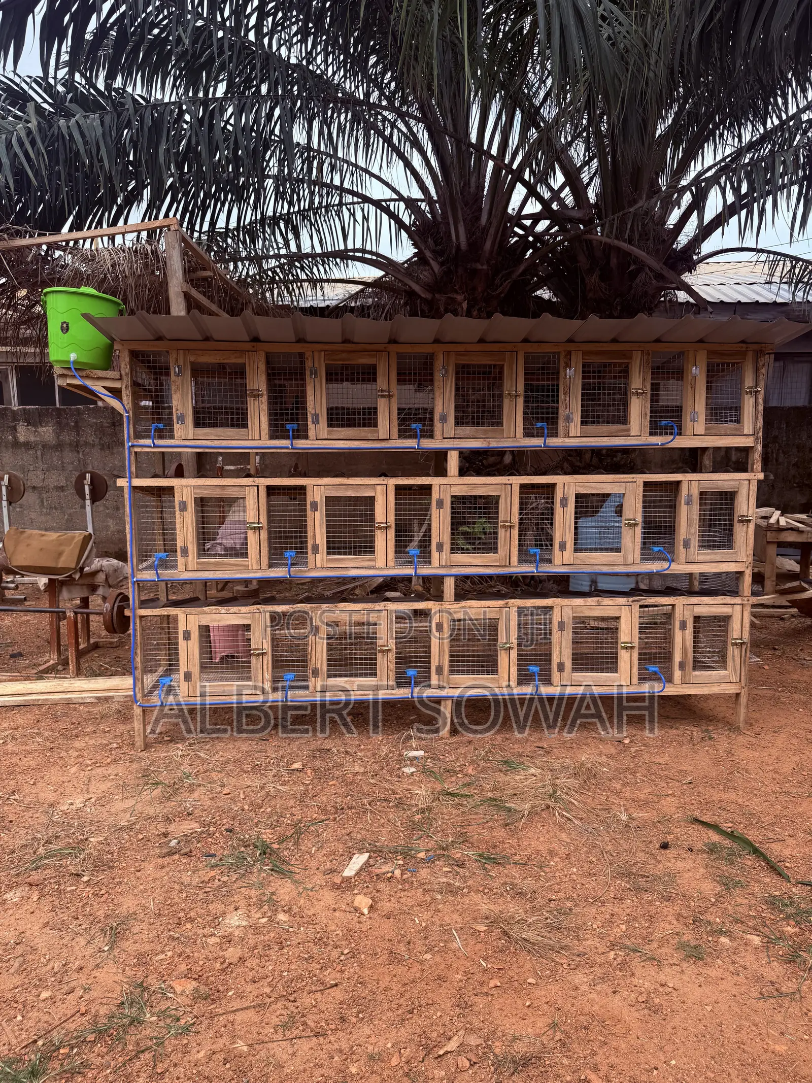 15 Rooms Modern Wooden Rabbit and Grasscutter Cage