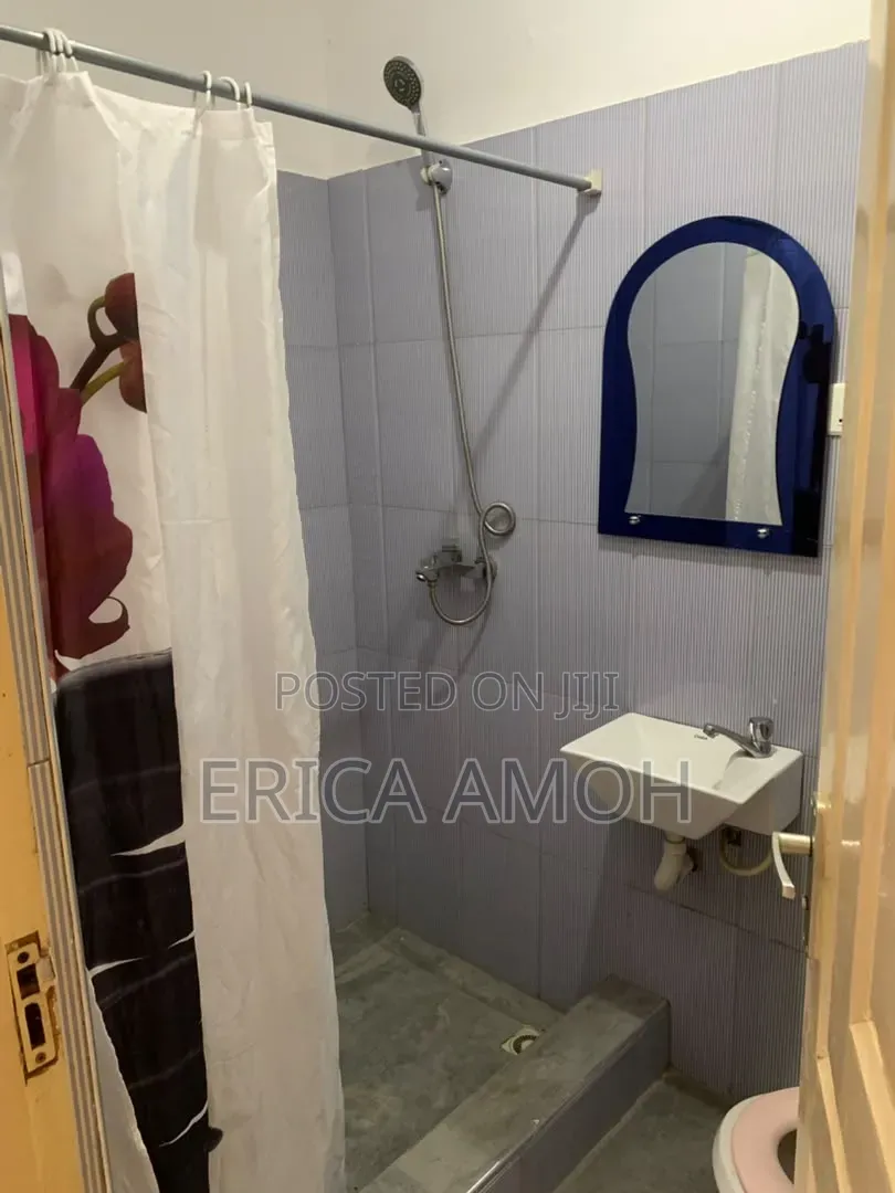 Furnished 1bdrm Apartment in Tema Metropolitan for rent