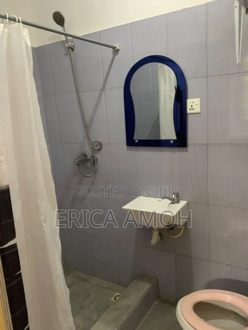 Furnished 1bdrm Apartment in Tema Metropolitan for rent