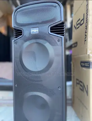 PSN Rechargeable Speaker Double 15 Inches