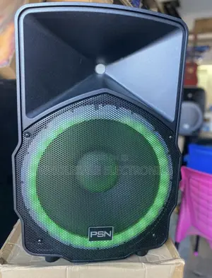 PSN Rechargeable Speaker 15 Inches With Lights