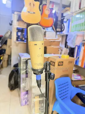 Behringer C-3 Studio Condenser Microphone