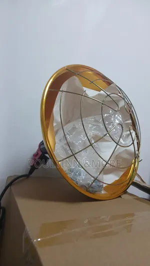 Solid Bulb Holder With Guard and Regulator