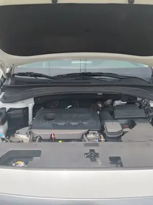Hyundai Santa Fe 2020 White