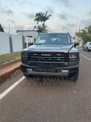 New Haval Menglong 2025 Gray