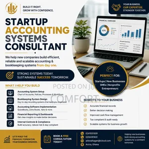 Startup Accounting Systems Services and Consultancy